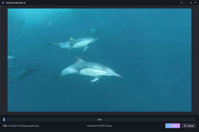 preview and download clean video footage