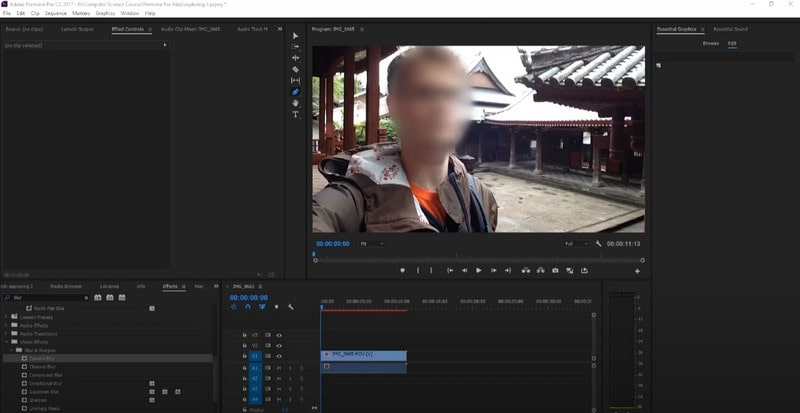 face blur app - Adobe Premiere Pro