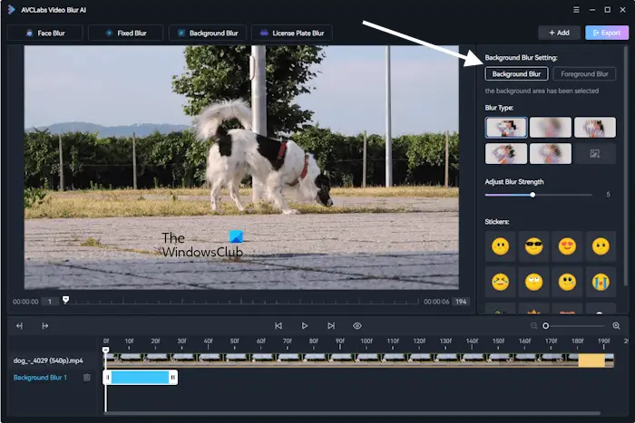 AVCLabs Video Blur AI