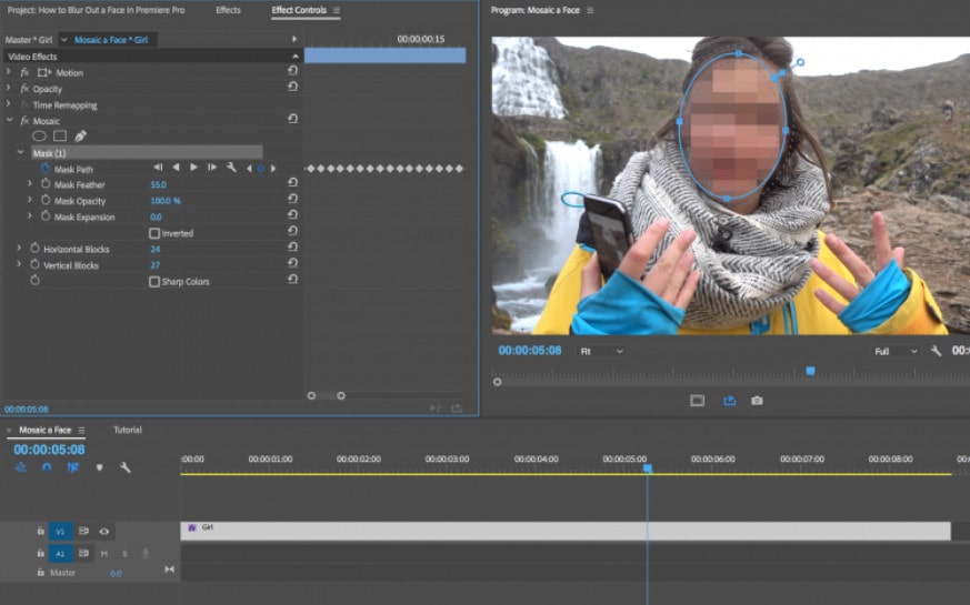 blur face in video with Adobe Premiere Pro