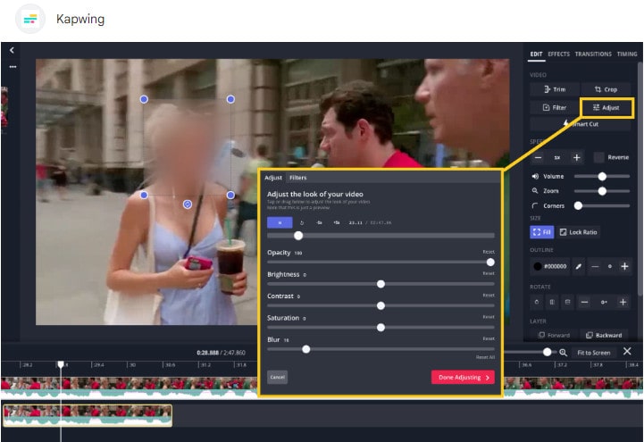 blur face in video with Kapwing