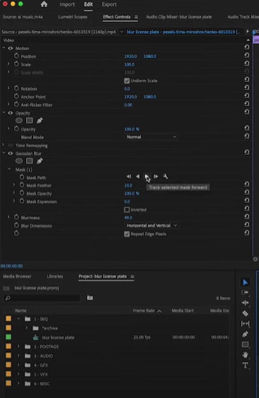 track blur in Adobe Premiere Pro