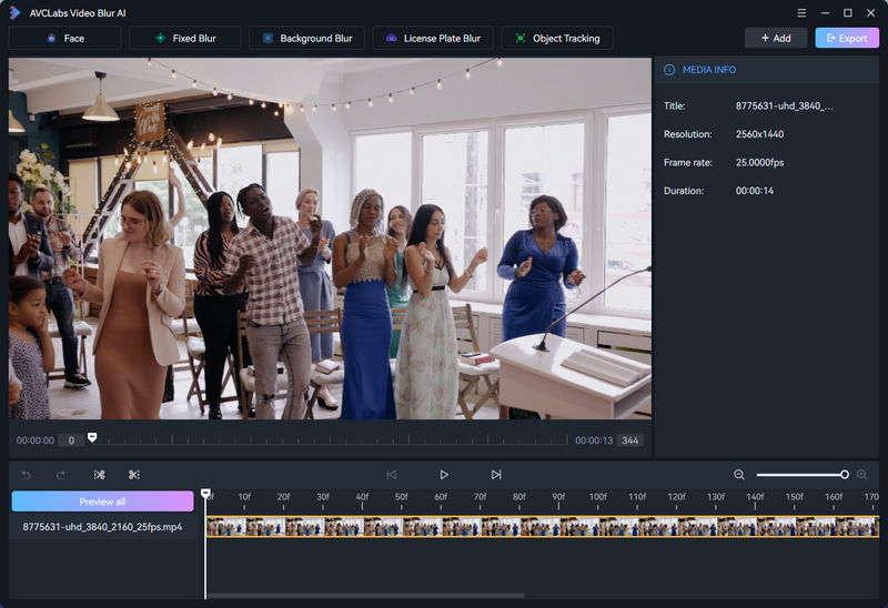 upload video to blur face