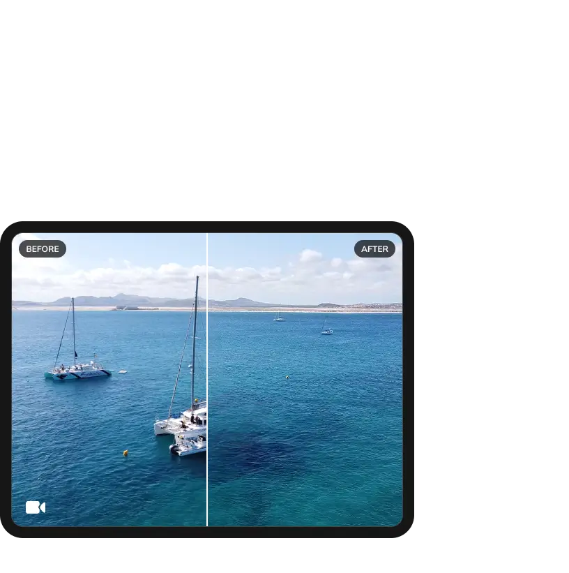 avclabs video object remover
