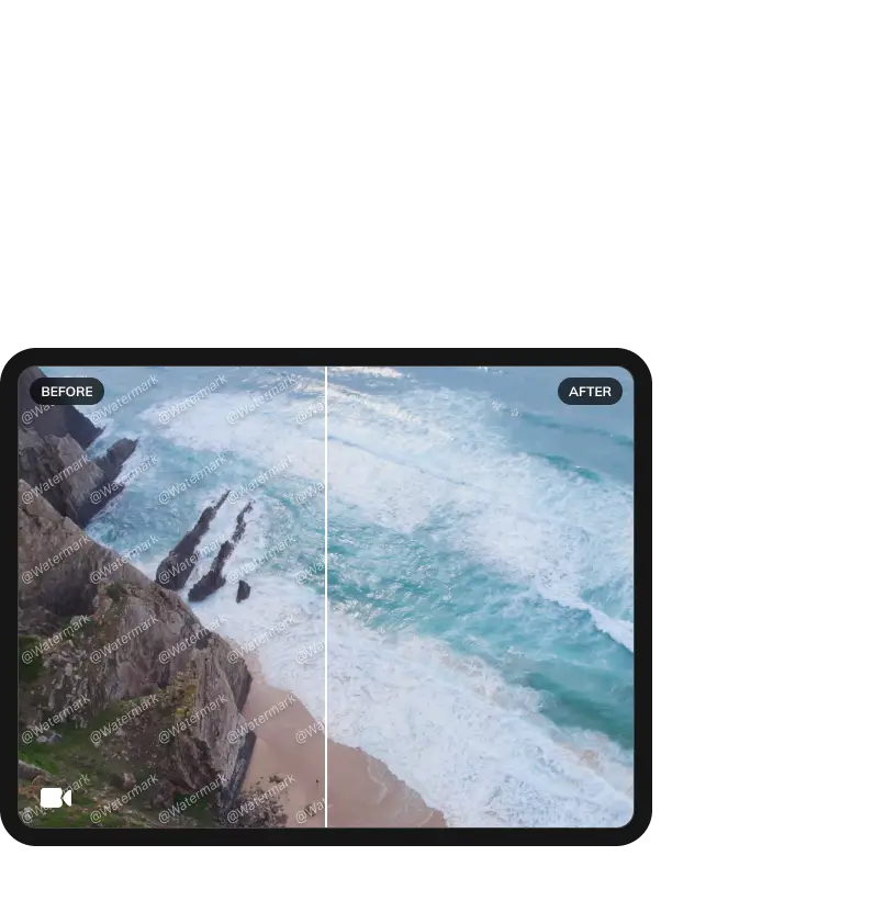 remove watermark from video
