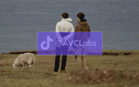 tiktok watermark remover